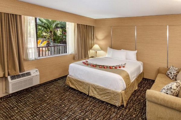 Ocean Beach Palace image 28